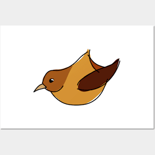 Little brown bird Posters and Art